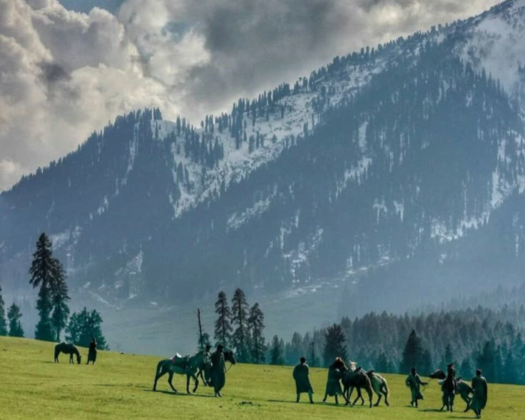 7N/8D Kashmir (Gurez Valley, Srinagar, Gulmarg, Pahalgam )